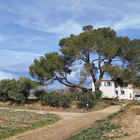 Domaine Saint Augustin Villa Rieux-Minervois Eksteriør bilde