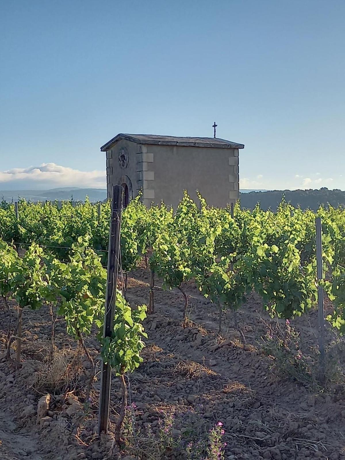 Domaine Saint Augustin Villa Rieux-Minervois Eksteriør bilde