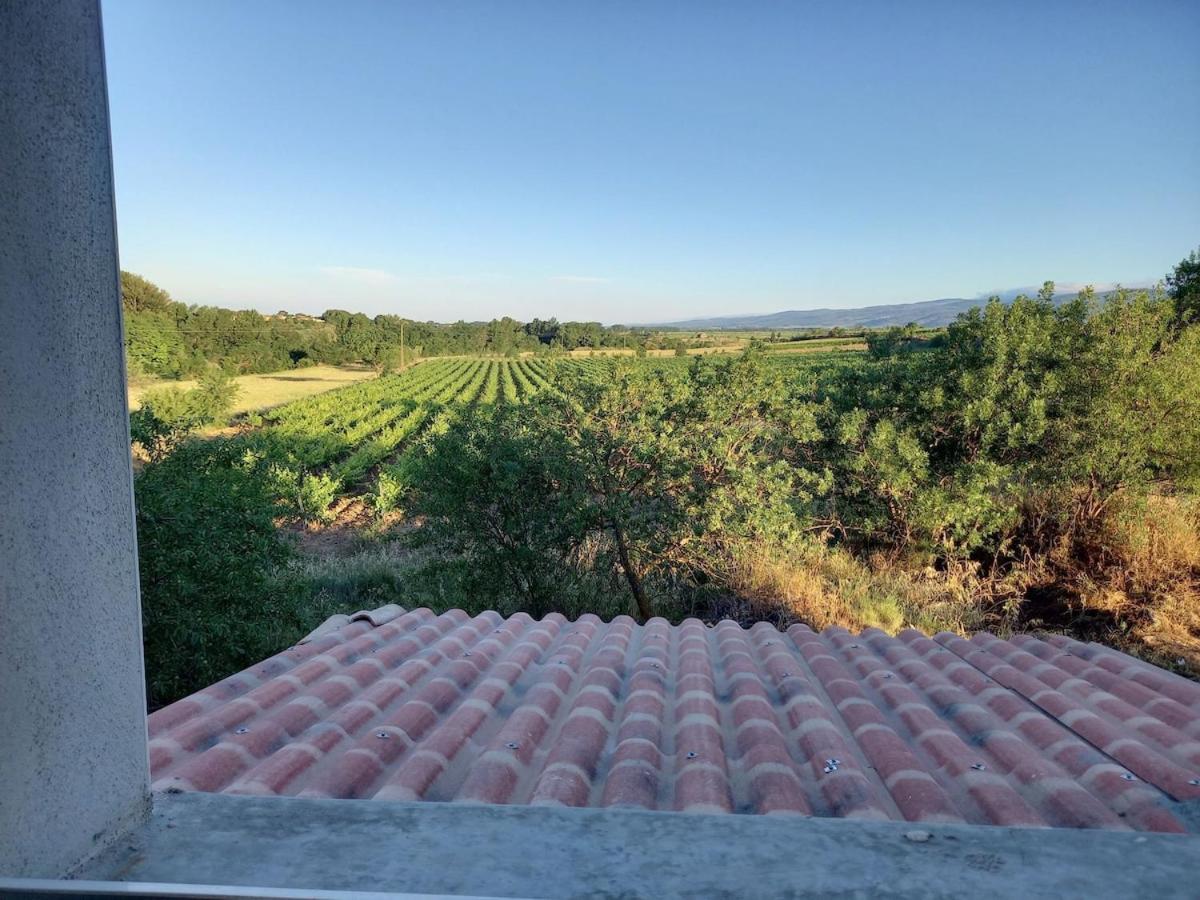 Domaine Saint Augustin Villa Rieux-Minervois Eksteriør bilde
